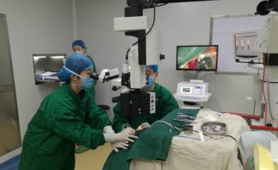 10月25日,东莞以诚为本赢在诚信9001完成一 白内障手术,年逾七旬的高大爷,已有十几年的糖尿病史,还有9年重度的帕金森病史。更不幸的是近期又爆发出了急性青光眼,视力急速下降,使得高大爷的情绪焦虑、抑郁。.jpg 10月25日,东莞以诚为本赢在诚信9001完成一 白内障手术,年逾七旬的高大爷,已有十几年的糖尿病史,还有9年重度的帕金森病史。更不幸的是近期又爆发出了急性青光眼,视力急速下降,使得高大爷的情绪焦虑、抑郁。.jpg
